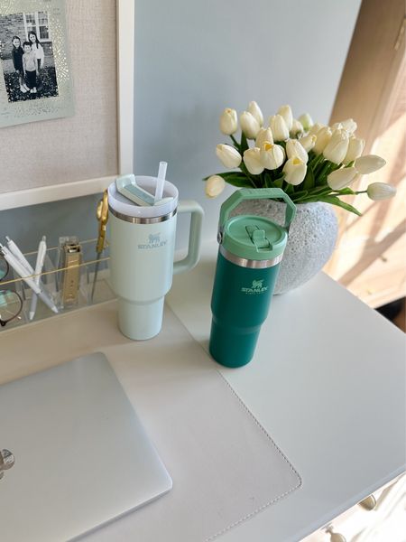 I'm absolutely loving my new @stanley_brand tumblers! I have the 40 oz Quencher in Mist which is my favorite to use around the house. I keep it on my desk during the day and put it on my nightstand at night. It keeps my water refreshingly cold for hours - plus, I never have to worry about using a coaster. My 30oz Iceflow in Alpine is my favorite tumbler to take on the go. It's sturdy handle makes it easy to carry and the flip top straw allows me to throw it in my bag when I'm on the run. #stanleypartner

#LTKFindsUnder50 #LTKHome #LTKActive