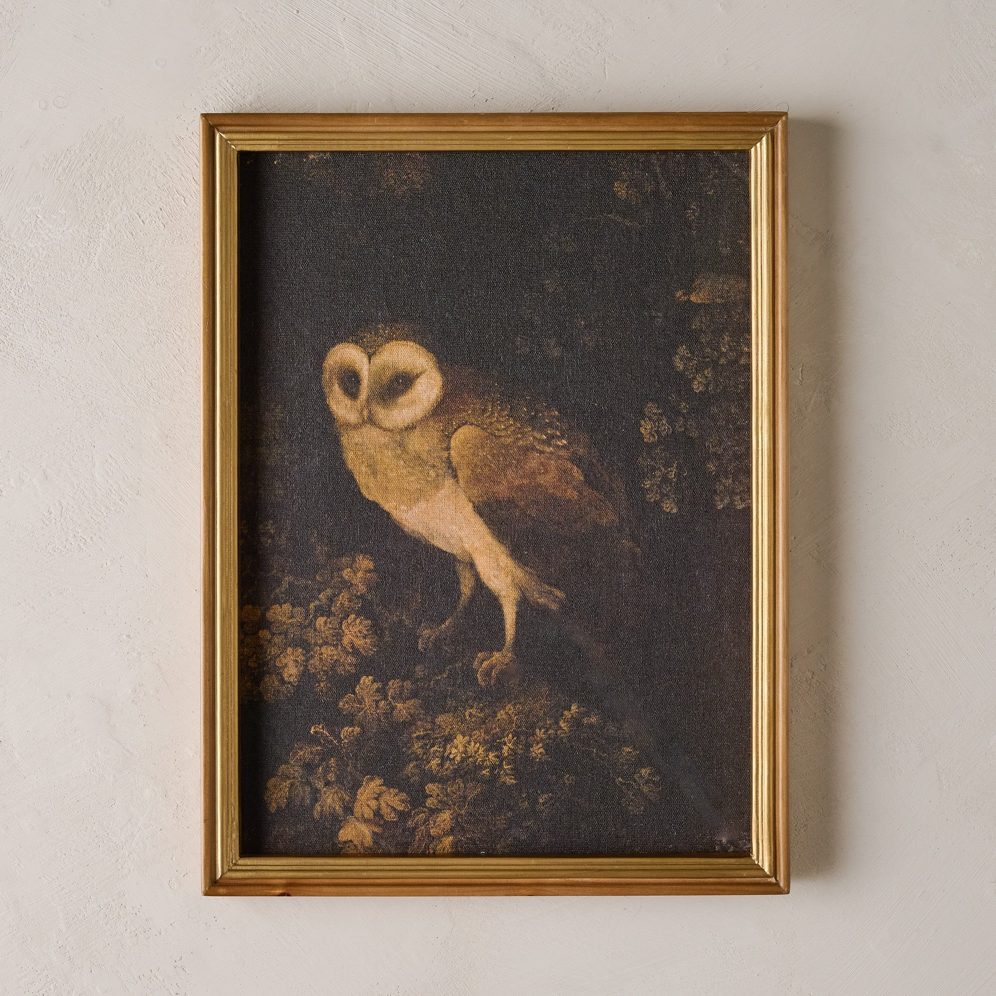 Vintage Nocturnal Reverie | Magnolia