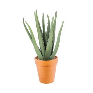 ARTIFICIAL 12 in. ALOE VERA IN TERRACOTTA POT | The Home Depot