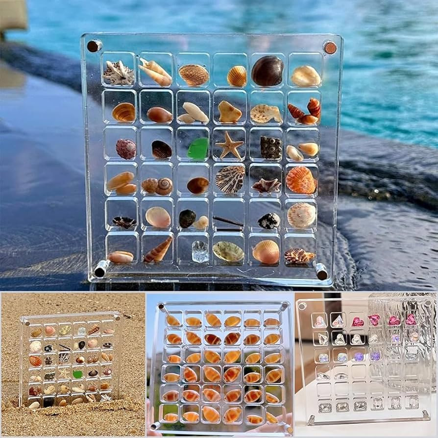 Acrylic Magnetic Seashell Display Box, Seashell Storage Box Display Case Decorative Seashell Starfish Trinket, Small Craft Organizers Container for Bead, Nail, Jewelry, Square-36 Grid | Amazon (US)