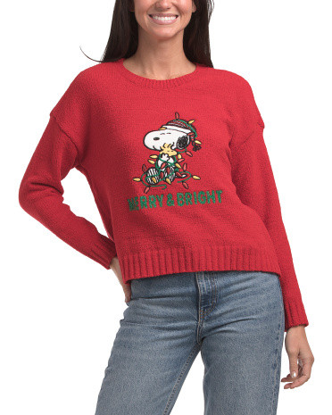 Crew Neck Snoopy Sweater | TJ Maxx