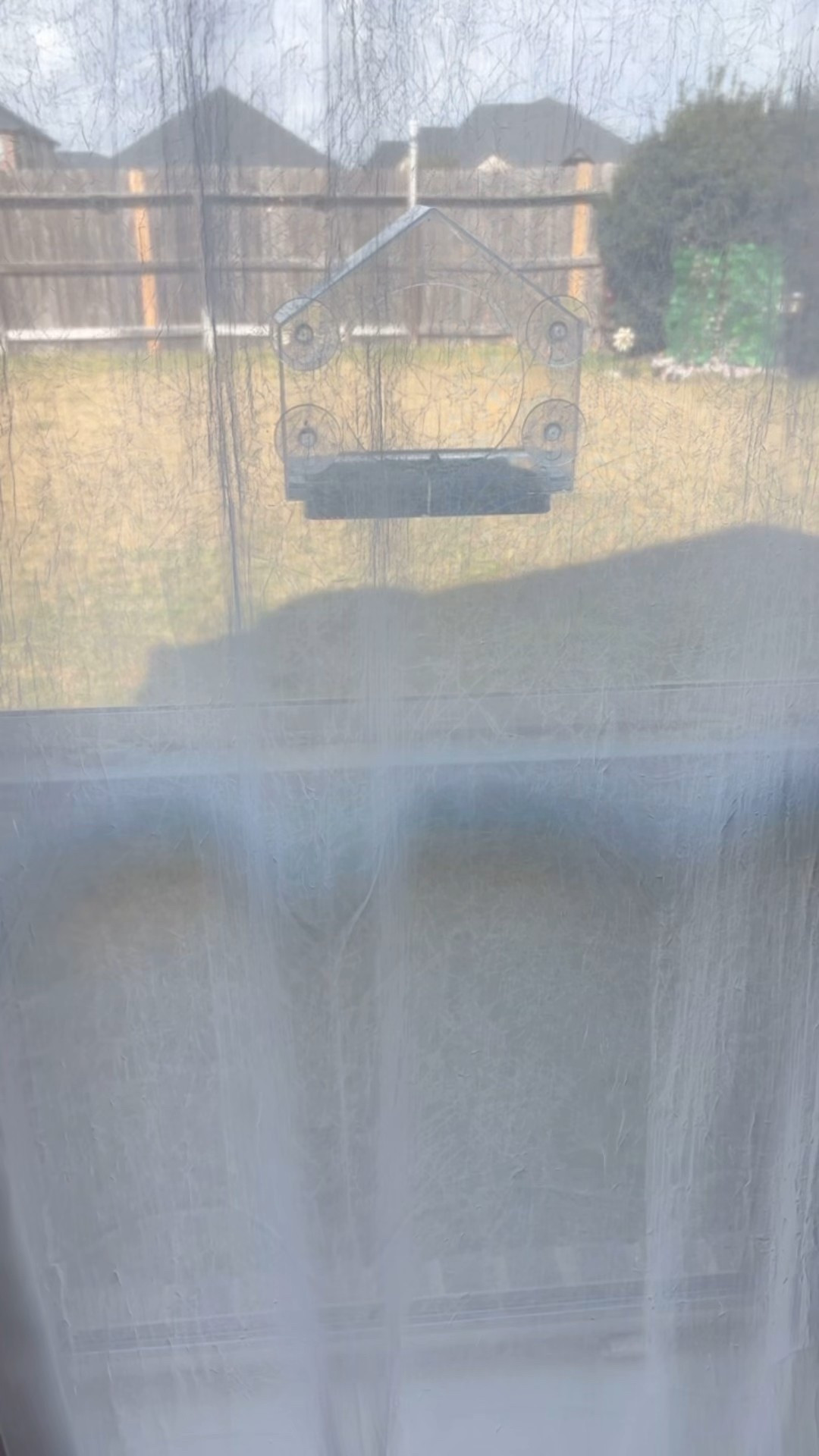 Bird feeder 🦅🐦‍⬛🐦‍🔥🪺

#LTKdayinmylife #LTKmomlife #LTKHome