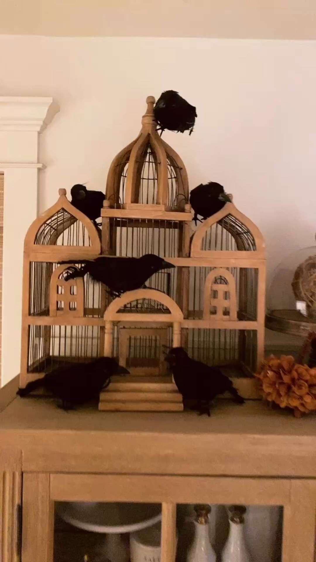 Amazon Crows + Halloween Decor

#LTKHome #LTKSeasonal #LTKFallSale