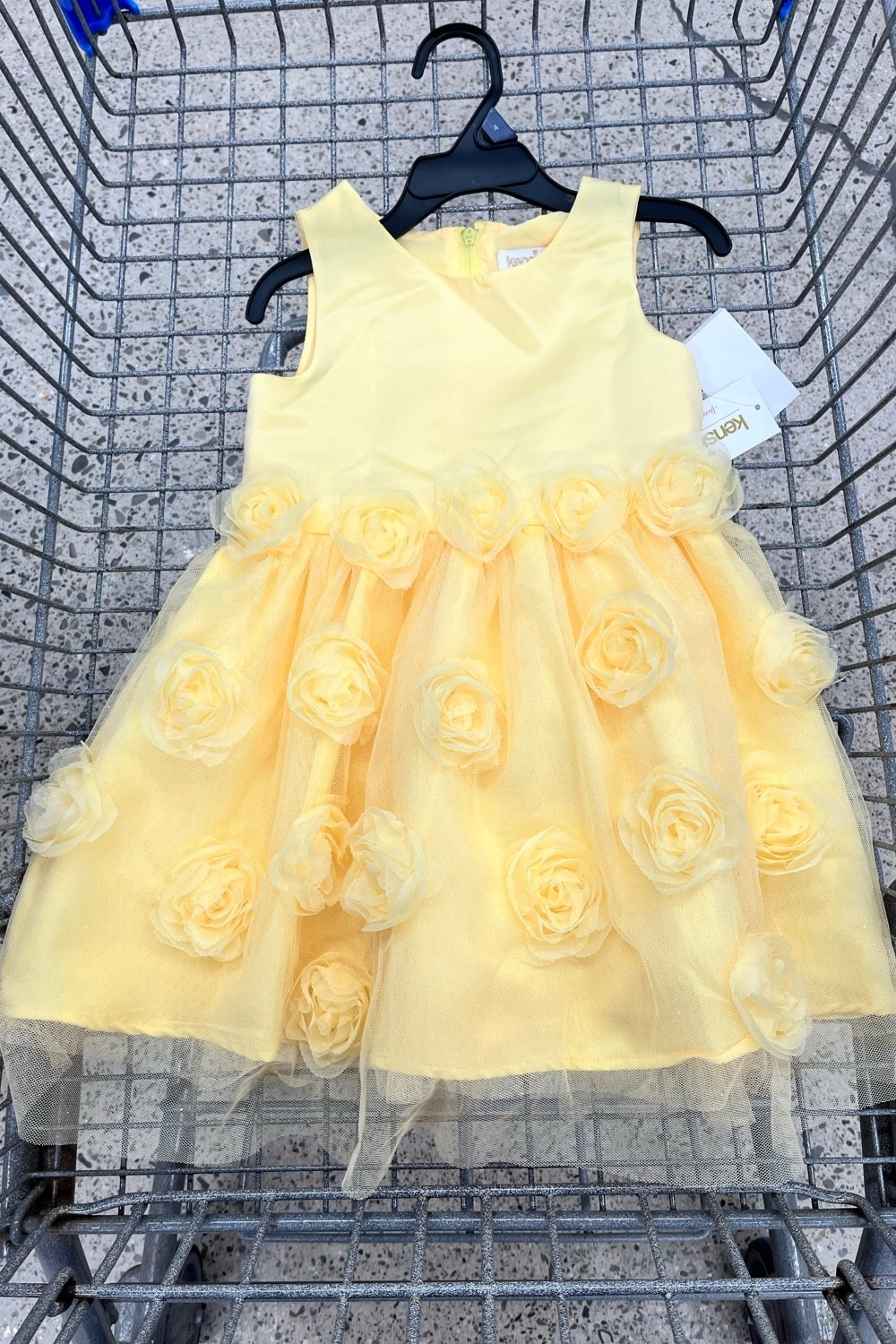 Affordable easter/spring dress at Walmart for a little flower girl. Under $25.

Girls party dress, girls dress, girls formal dress, yellow special occasion dress.

#LTKSeasonal #LTKWedding #LTKKids