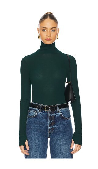 Arlen Long Sleeve Fitted Turtle Neck Top in Evergreen | Revolve Clothing (Global)