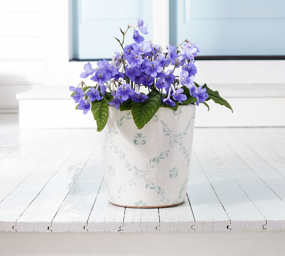 $34.99 | Pottery Barn (US)