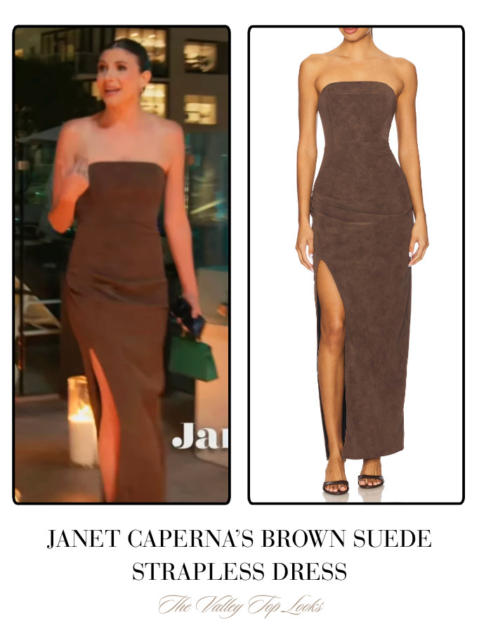 Janet Caperna's Brown Suede Strapless Dress 

 