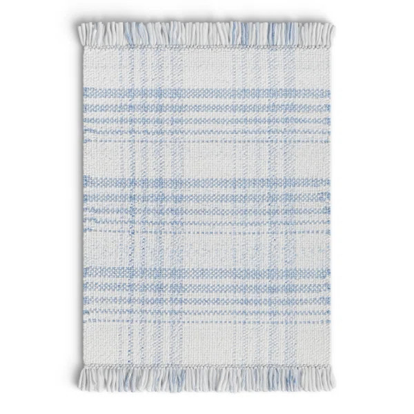 Cay Plaid Handmade Flatweave Recycled P.E.T. Area Rug in Blue/White | Birch Lane