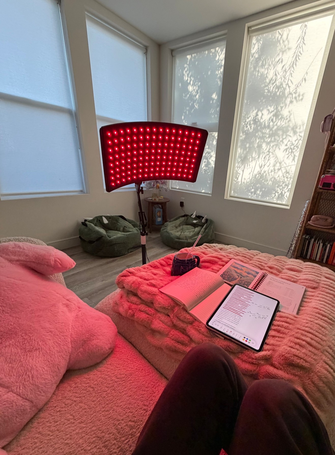 the perfect morning ❤️
Red light while I journal >>



#LTKFindsUnder100 #LTKselfcare #LTKmorningroutine