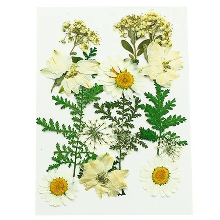 Makeup Accessories Dried Flowers Real Pressed Flowers for Face Makeup Decorations DIY Bookmarks XH02 | Walmart (US)