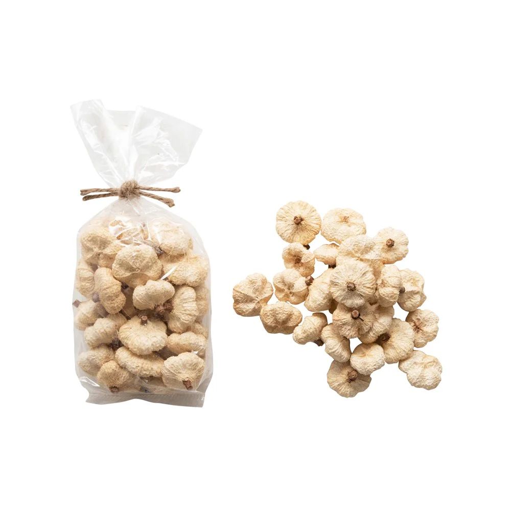 Ivory Dried Pumpkins in Bag - 25 pcs | Linen & Flax Co