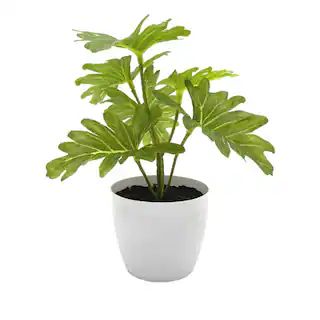 6" Potted Philodendron Plant by Ashland® | Michaels | Michaels Stores