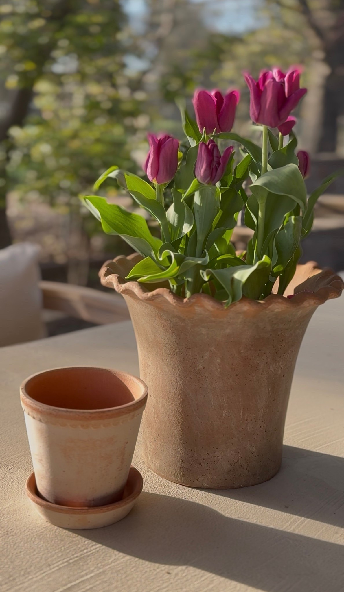 🌷🌷🌷

#LTKHome