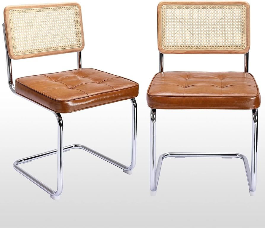 Zesthouse Natural Rattan Dining Chairs Set of 2, Modern Dining Room Chairs with Solid Wood Back f... | Amazon (US)