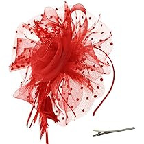 Fascinators for Women Kentucky Derby Hats,Tea Party Hat Headband Hair Clip for Wedding Cocktail | Amazon (US)