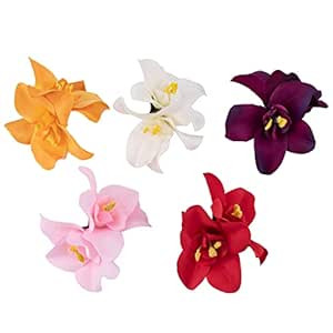 Framendino, 5 Pack Artificial Flower Hair Clips Hawaiian Amapola Flower Orchid Hair Barrettes Cli... | Amazon (US)