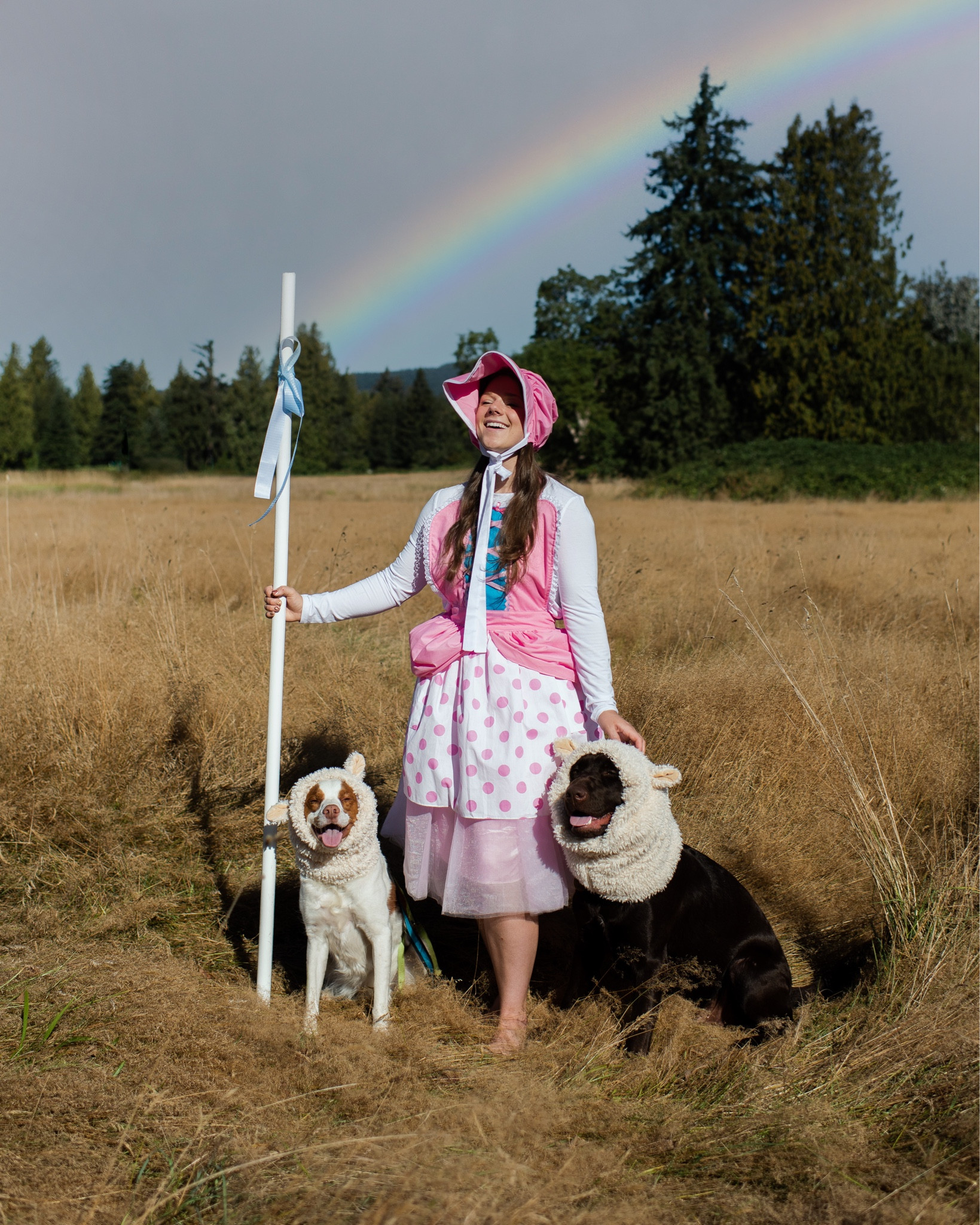 Halloween ideas, Amazon , Etsy, costumes for dogs, dog costumes, little bo peep, sheep, easy costumes, adult costume ideas, dog and owner costume

#LTKHoliday #LTKHalloween #LTKunder50