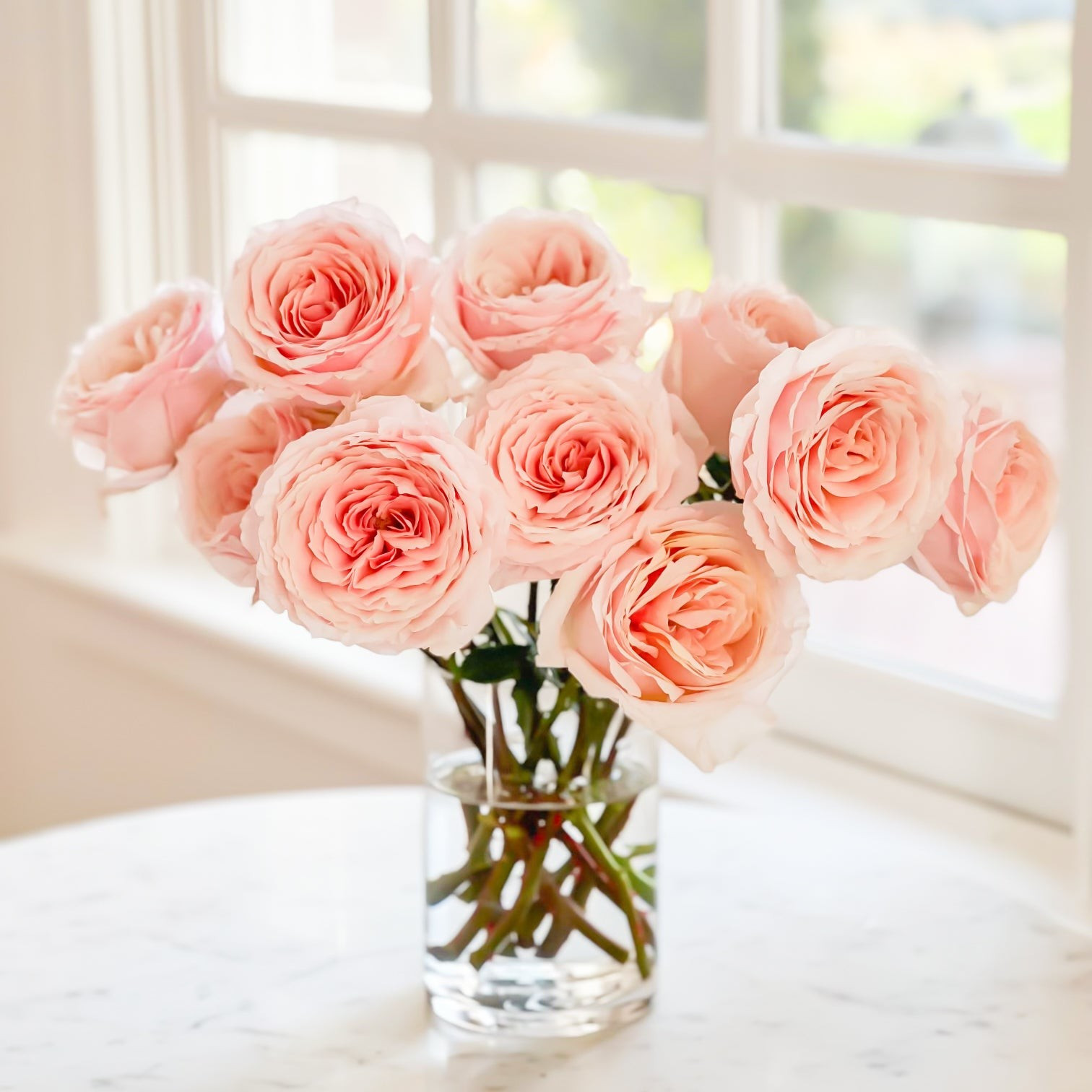 Tsumugi | Grace Rose Farm