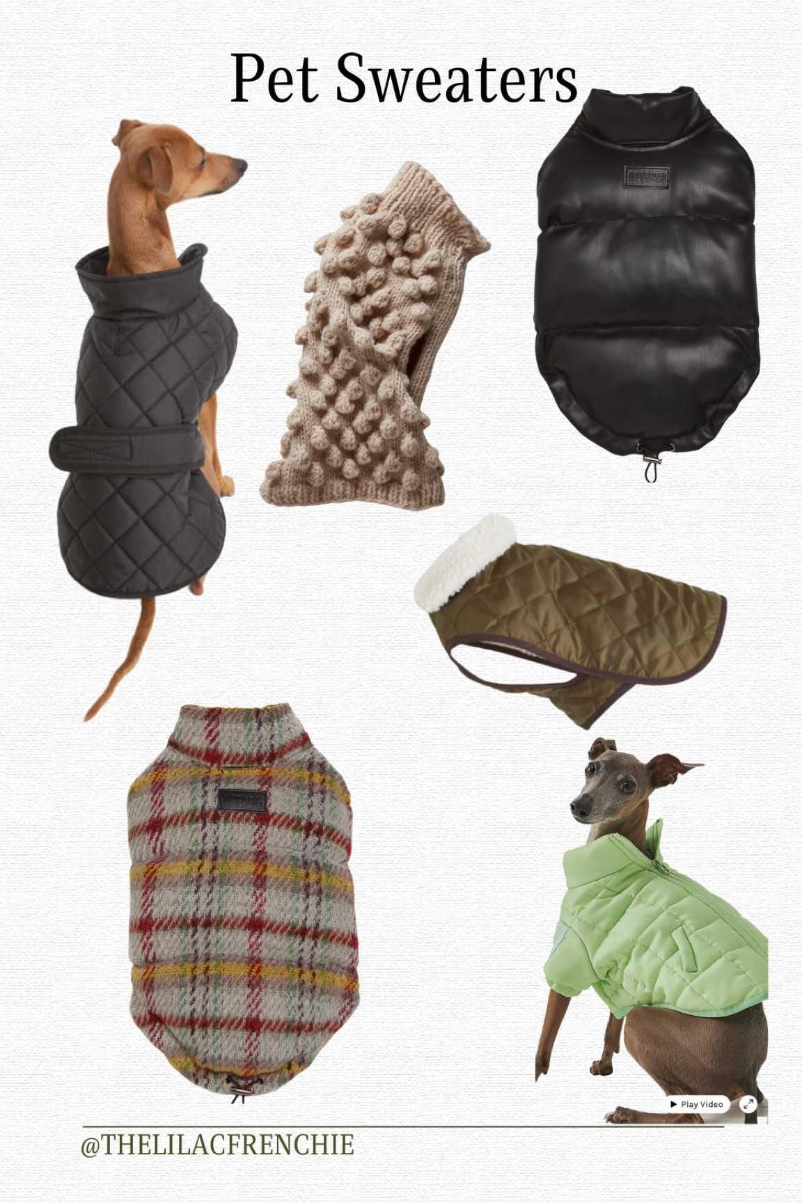 Pet Sweaters'

#LTKfit #LTKunder100 #LTKGiftGuide