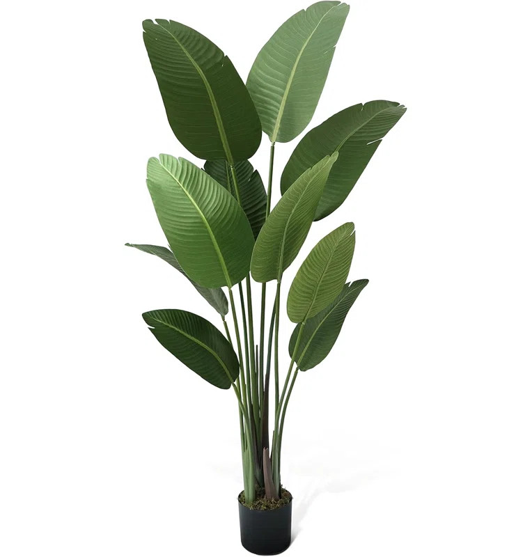 Birch Lane Artificial Bird of Paradise in Pot with Dried Moss, UV Resistant, 4 / 5 / 6 / 7 Feet | Wayfair North America
