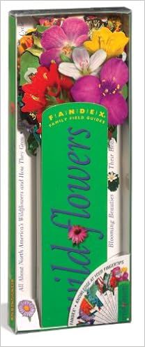 Fandex Family Field Guides: Wildflowers    Cards – September 1, 1999 | Amazon (US)