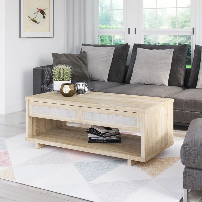 Olince Sled Coffee Table with Storage | Wayfair North America