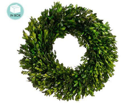 17 Inch Real Boxwood Wreath- Preserved | Amazon (US)