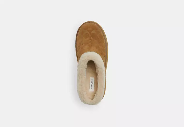 Cecelia Clog In Signature Suede | Coach Outlet US