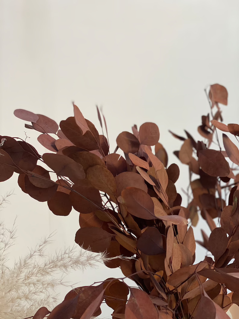 Preserved Washed Silver Dollar Eucalyptus Wedding Decor - Etsy | Etsy (US)