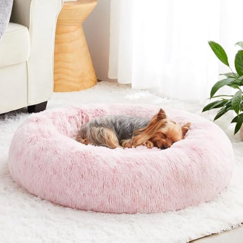 WNPETHOME Small Pink Round Calming Dog Bed Cat Bed for Comfy Sleep | Dog Beds For Small Dog, Cute... | Amazon (US)