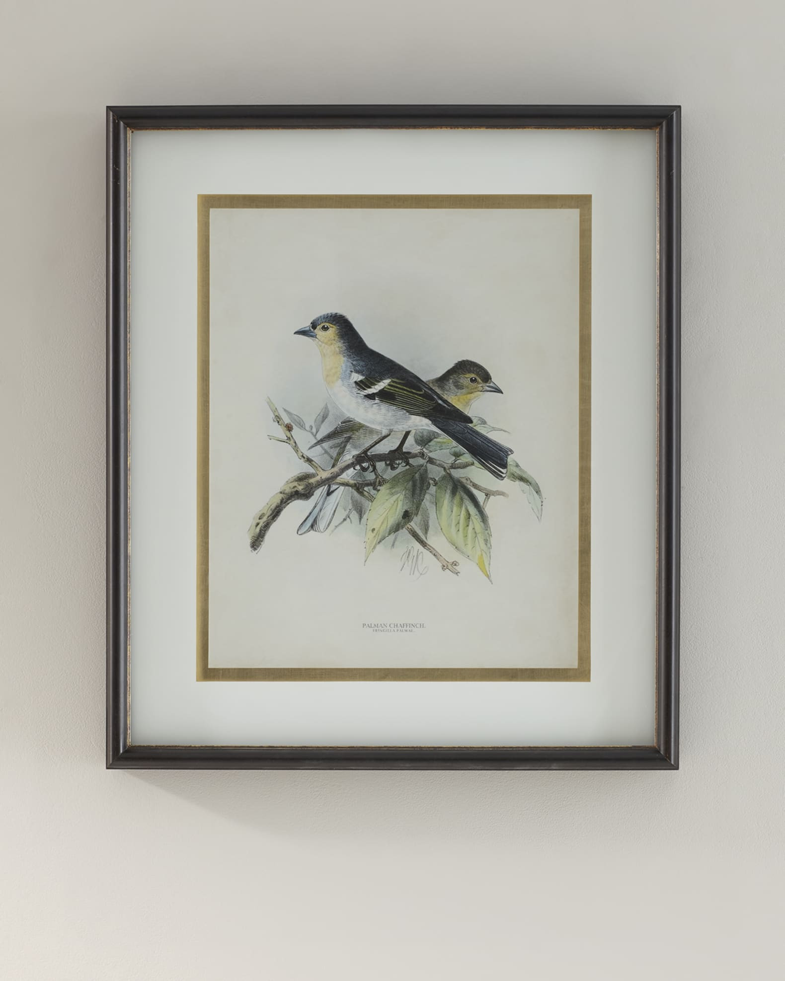 John-Richard Collection "Antique Birds III" Print | Neiman Marcus