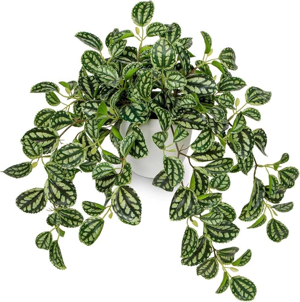 Briful Fake Plants Indoor Artificial Potted Silk Plants Faux Watermelon Peperomia Trailing Vine P... | Amazon (US)