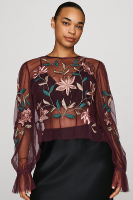 Mesh Embroidered Top | Anthropologie (US)
