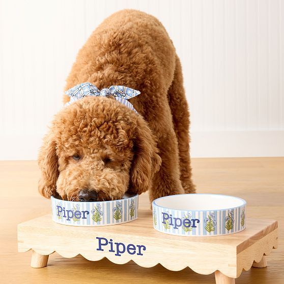 Ceramic Pet Bowl | Mark and Graham