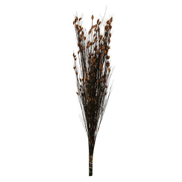 Vickerman all Natural Bell Grass with Seed Pods, Preserved | Target