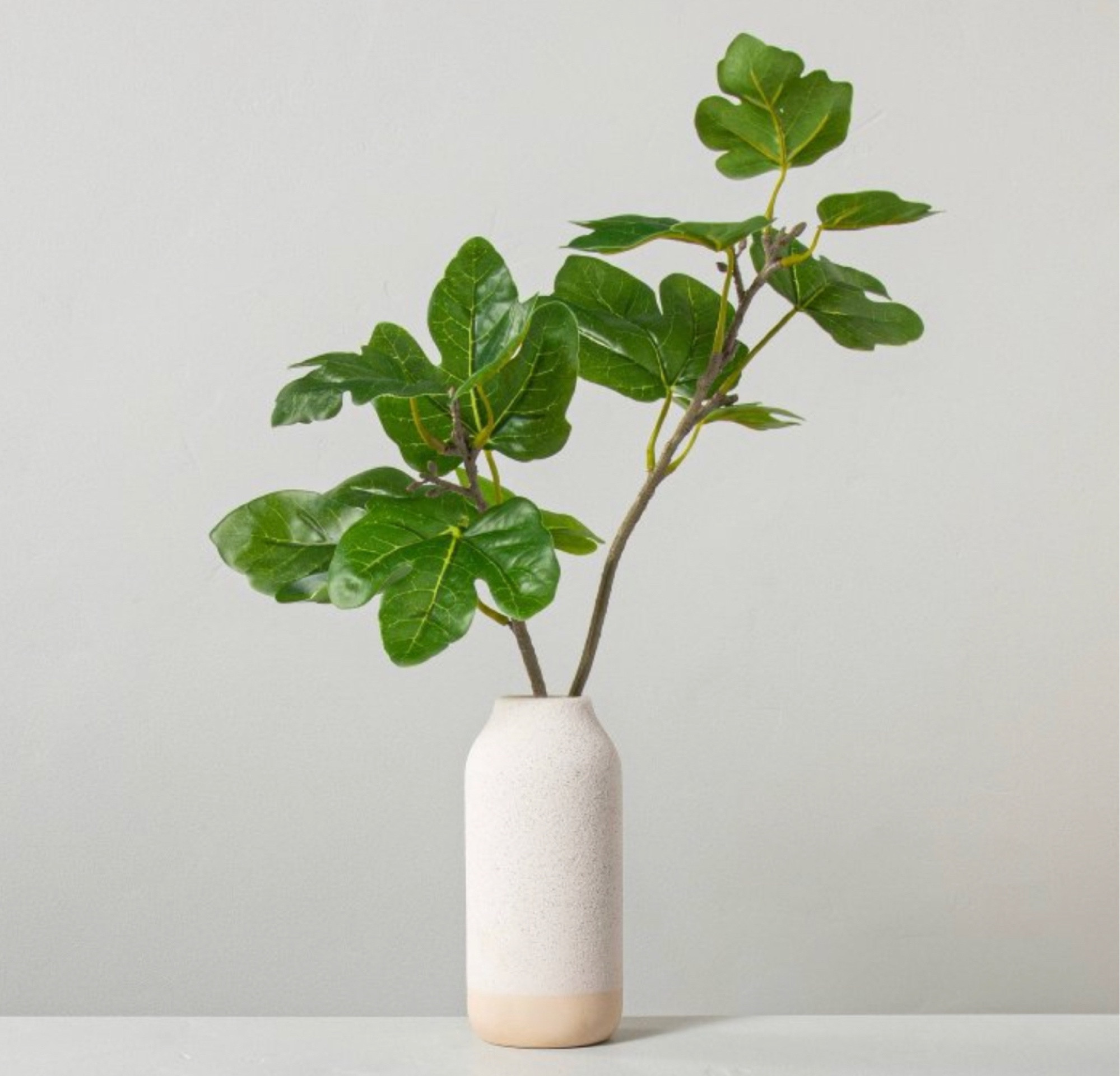 Faux Plant Decor

#LTKSeasonal #LTKhome