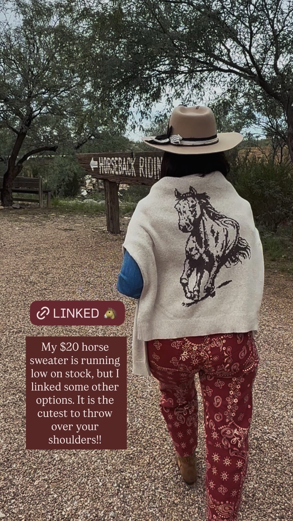 The cutest horse sweater! Only x large sizes left, but it’s still perfect to throw on your shoulders! Hoping for a restock, but in the meantime, I linked some other options! 🐴🐴🐴


** I did am men’s medium

Horse sweater, ranch, equestrian, ranch, life, ranch outfit idea, western outfit, western chic, outfit of the day 

#LTKootd #LTKSeasonal #LTKOver40