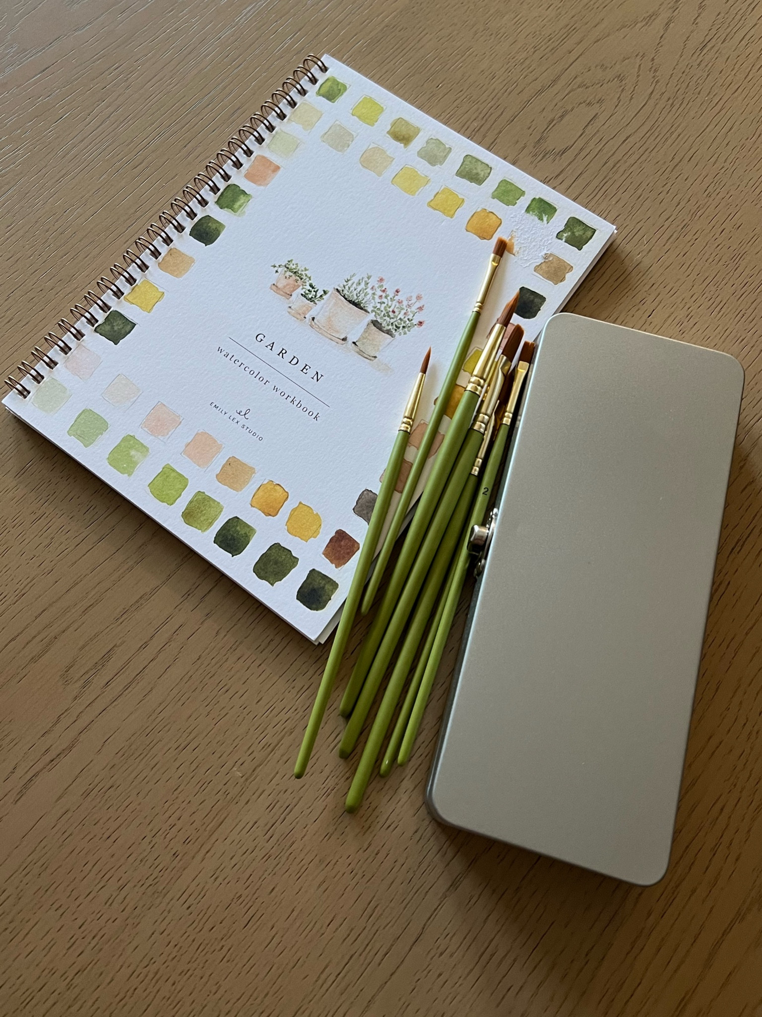 Emily Lex watercolor painting books🌸🌷💐

#LTKSeasonal #LTKFamily #LTKFindsUnder50