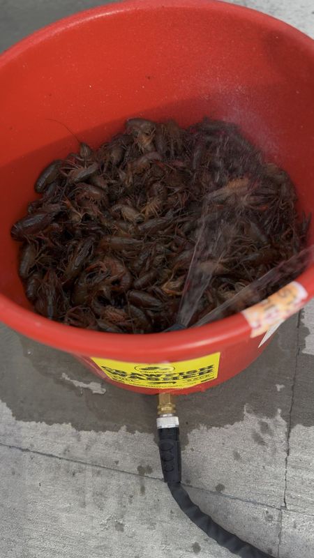 If you boil crawfish, shrimp, or  crabs, you need this washer! 

#LTKSeasonal #LTKVideo #LTKfamily