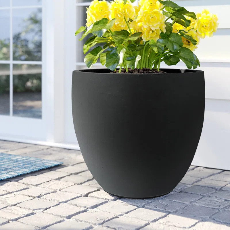 Acushnet Pot Planter | Wayfair North America