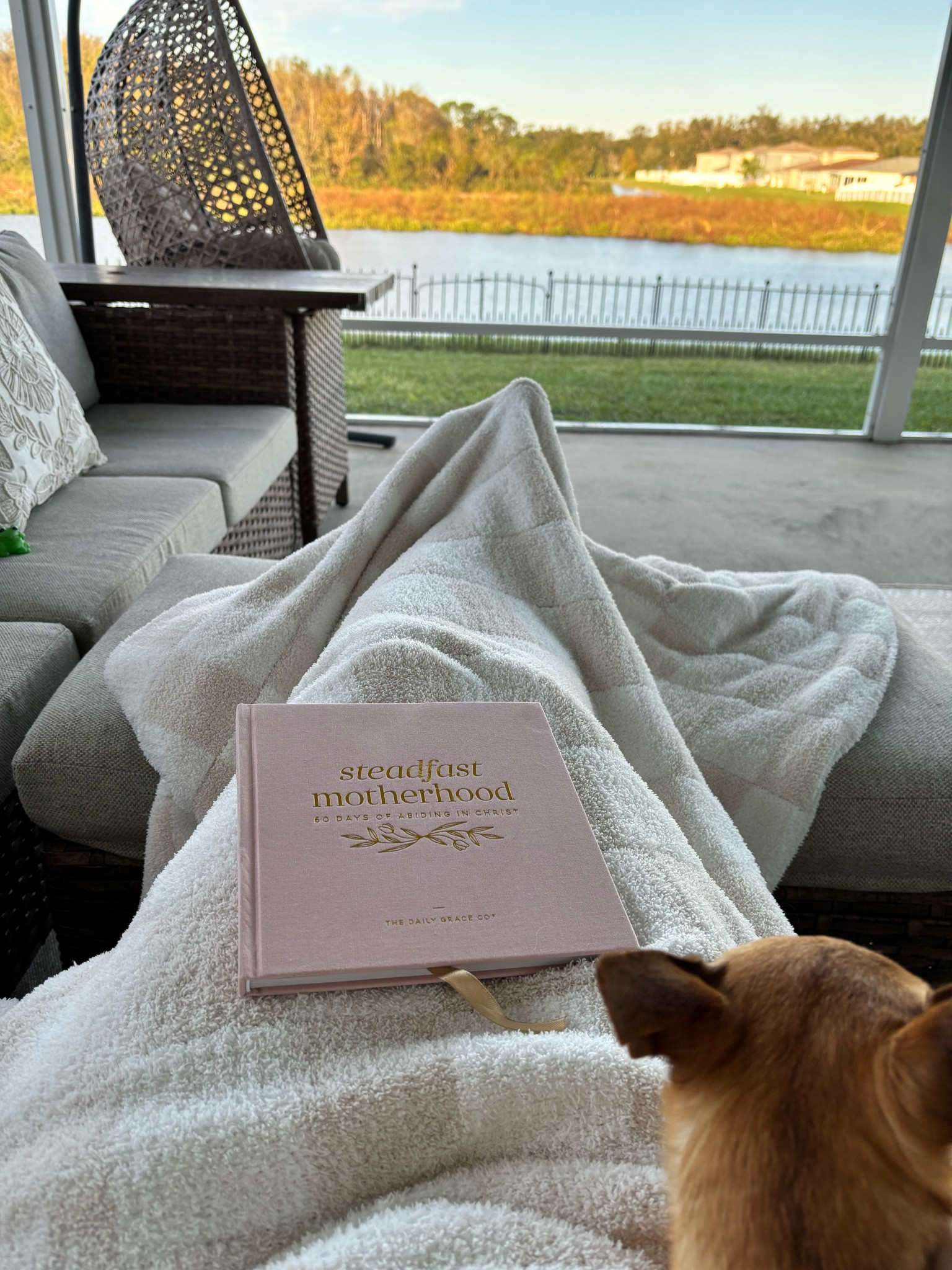 Steadfast motherhood. Motherhood daily devotional! I’m loving this little devotional! It has such thoughtful devotions each day! Perfect gift for any mom friends in your life!

#LTKGiftGuide #LTKBaby #LTKHome