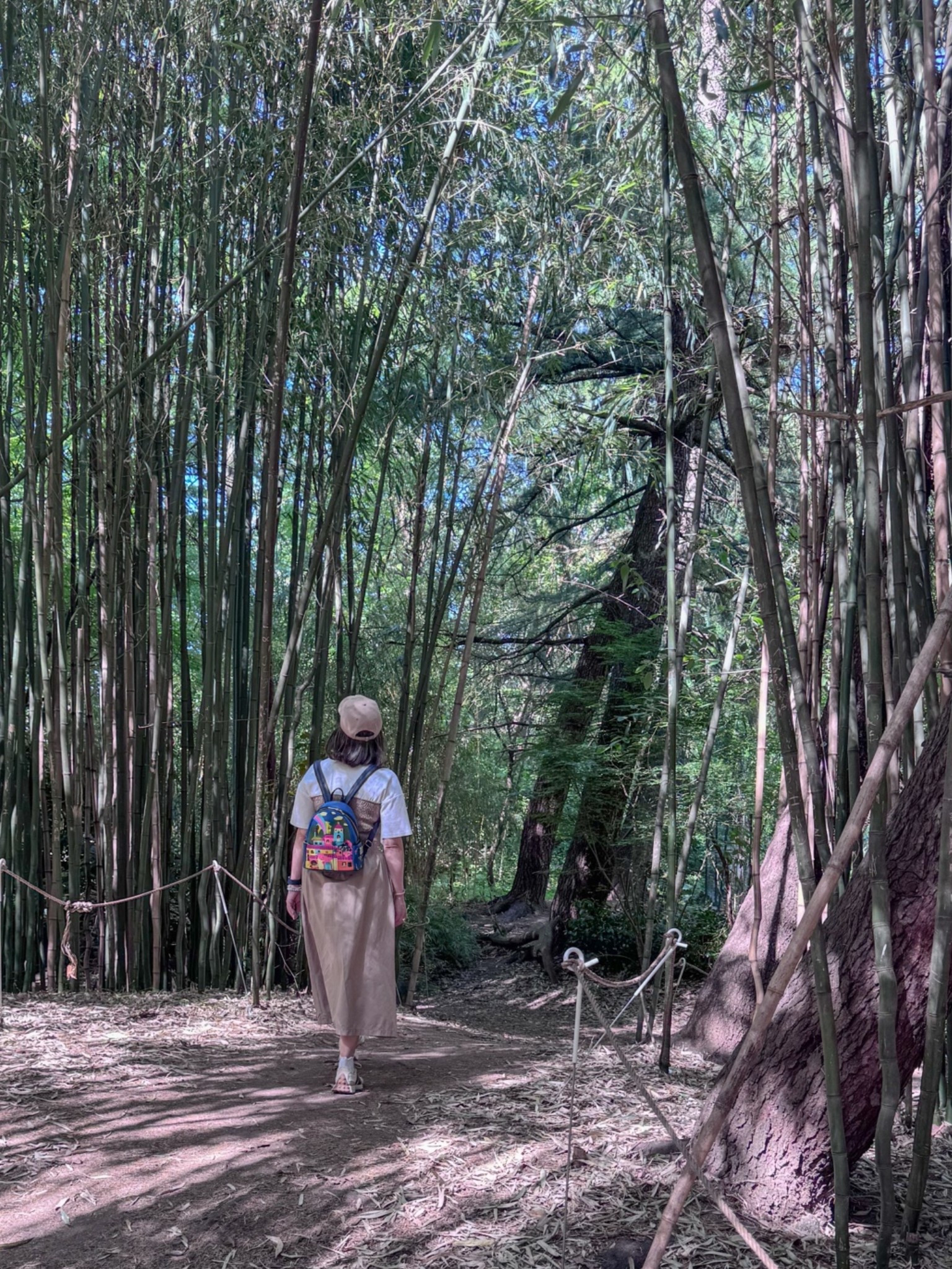 What I wore to the Bronx Zoo yesterday

#LTKdayinmylife #LTKmomlife #LTKSeasonal