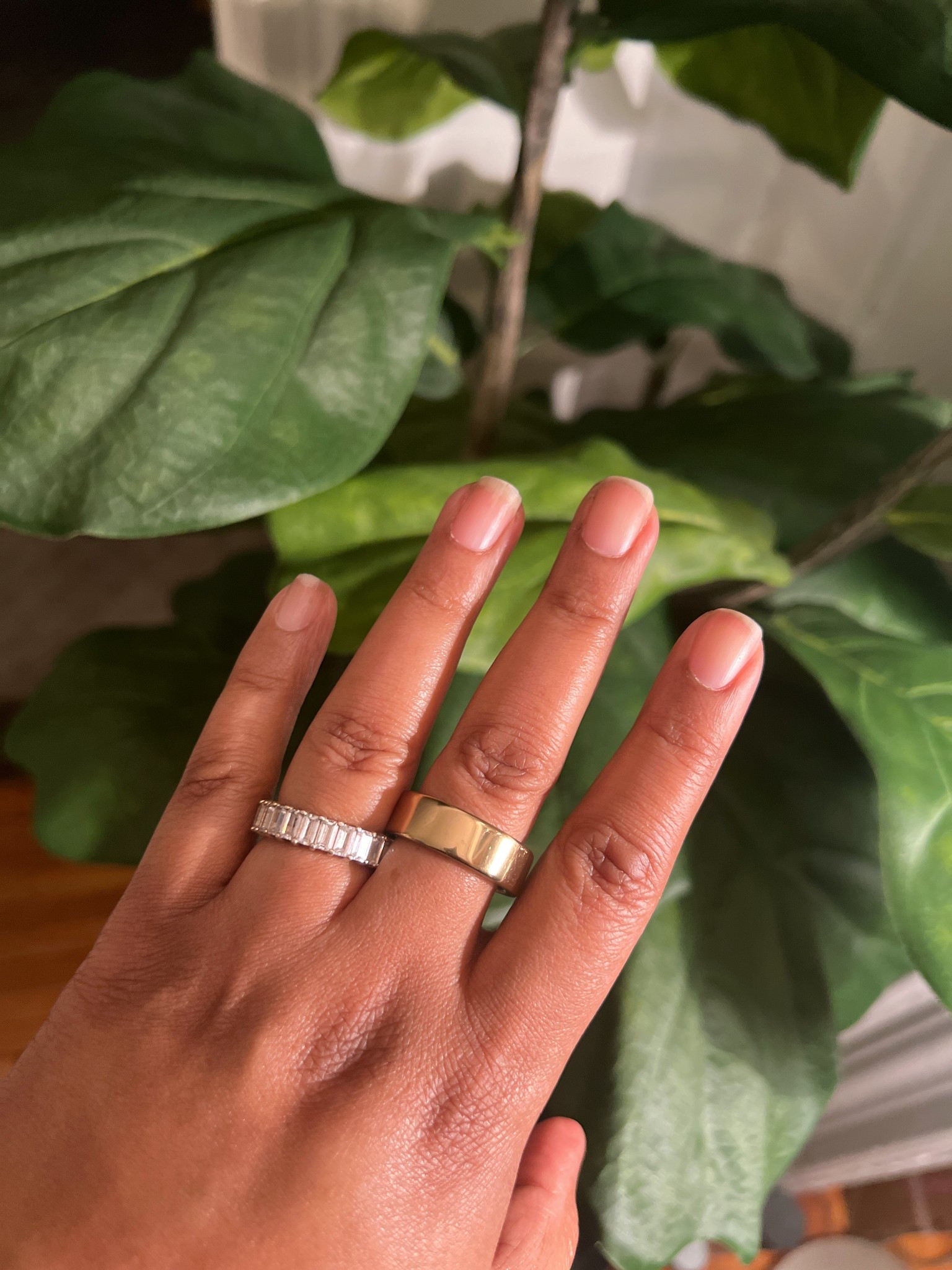 It's finally Daylight Saving Time and my Oura Ring says we're doing just fine 💃🏽

My Readiness score came in with a crown and my Sleep Score is higher than average. Woo hoo! 

Track your sleep and other vital statistics with your very own Oura Ring. Available on Amazon and at Best Buy.

health and wellness, well-being, sleep tracker, diamond ring, faux diamond ring, Amazon Find, spring style 



#LTKSeasonal #LTKOver40 #LTKActive