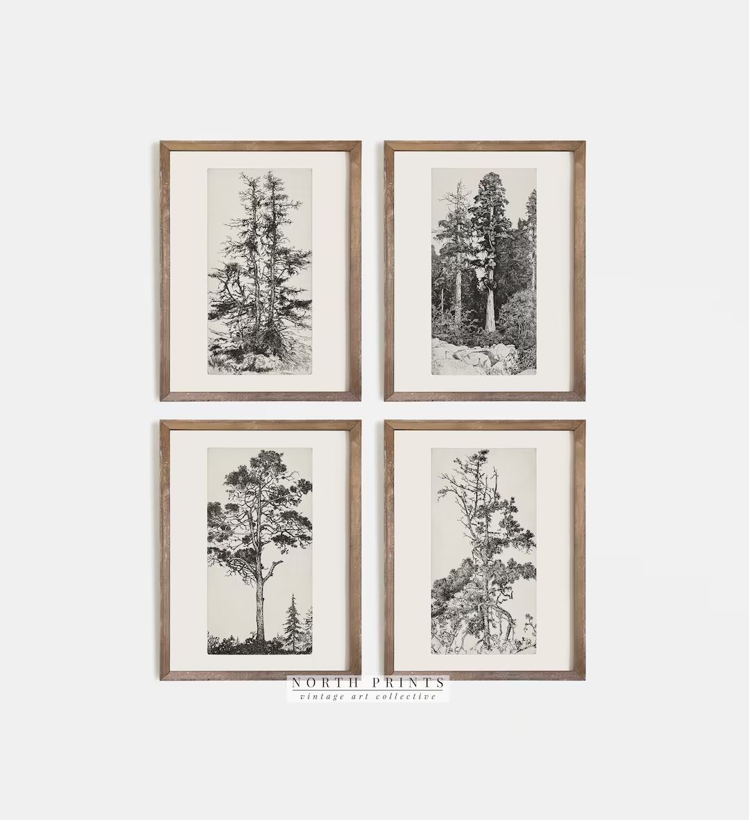 Vintage Gallery Wall Print Set  Tree Sketches Etching Print  - Etsy | Etsy (US)