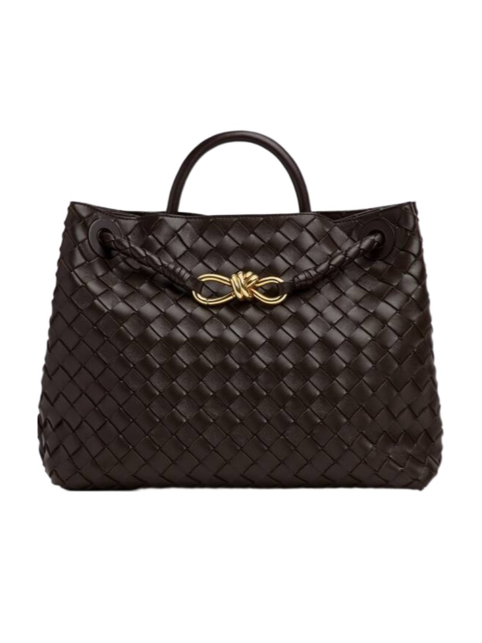 Bottega Veneta Andiamo Medium Shoulder Bag | Senser US