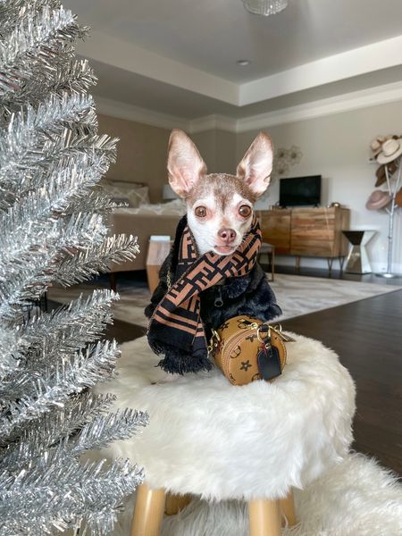 Chic faux fur coat! I can’t link the exact scarf and bag but I found them at Shop Lou’s Closet!

Dog clothes, dog coat, dog accessories 



#LTKstyletip #LTKfamily #LTKSeasonal