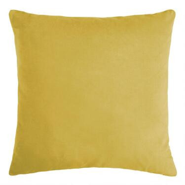 Velvet Throw Pillow | World Market