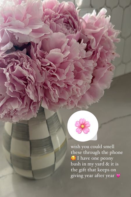 wish you could smell these through the phone 🥰 I have one peony bush in my yard & it is the gift that keeps on giving year after year 💓

flowers are in a MacKenzie-Childs vase

#LTKHome #LTKGiftGuide #LTKSeasonal
