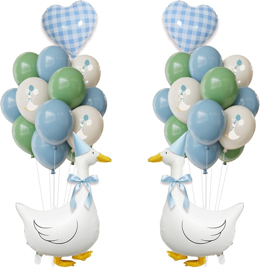 One Silly Goose Birthday Decorations Boy – Goose Balloons with Blue Printed Latex Balloons, Blu... | Amazon (US)