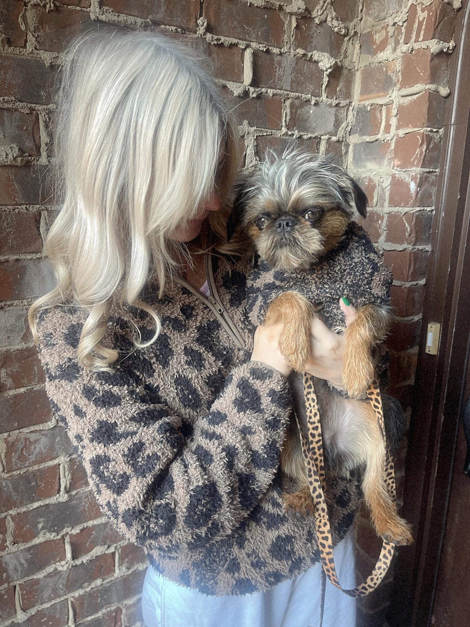 Softest knit ever PLUS U CAN MATCH UR PUP!! 🖤🐆

#LTKsalealert #LTKU #LTKSeasonal